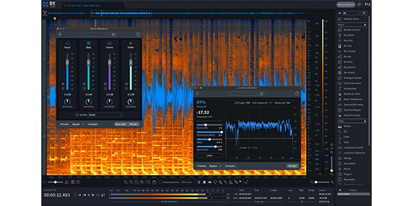 iZotope / RX 11 Standard CG from any paid iZotope product DL納品画像2
