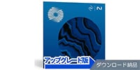 iZotope / Ozone 12 Standard from Ozone Elements / Elements Suite DL