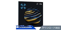 iZotope / RX 11 Advanced: UPG from 旧RX Standard DL納品