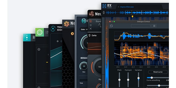 iZotope ( アイゾトープ )  / RX PPS 8.7: CRG from any previous version of RX Std DL納品画像2