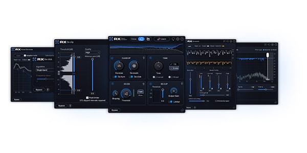 iZotope ( アイゾトープ )  / RX 12 Elements ダウンロード納品版画像2
