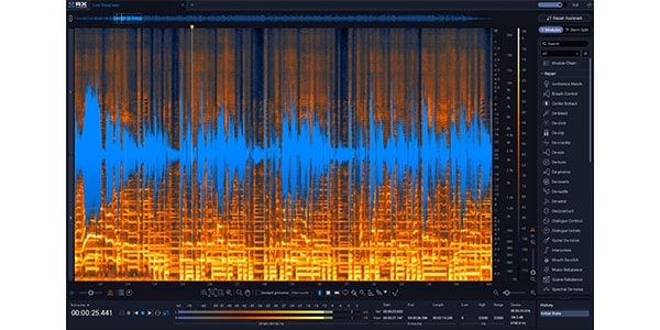 iZotope ( アイゾトープ )  / RX 12 Standard: UPD from RX 11 Standard DL画像2