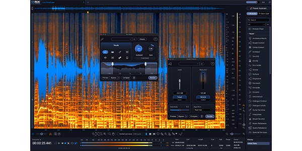 iZotope ( アイゾトープ )  / RX 12 Standard: UPD from RX 11 Standard DL画像3