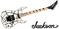 JACKSON / X Series Dinky DK1A, Maple Fingerboard, White Tortoise