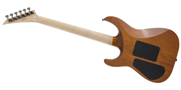 JACKSON ( ジャクソン )  / SL3Q MAH Dark Amber画像2