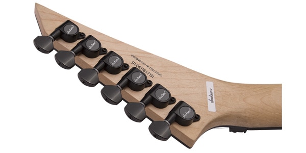 JACKSON ( ジャクソン )  / Rhoads RR24Q Winterstorm画像8