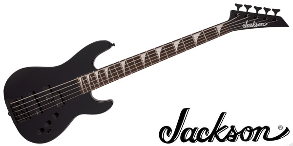 David Ellefson 30th Anniversary Concert Bass CBX V