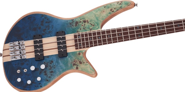 JACKSON / 291-9924-521画像3