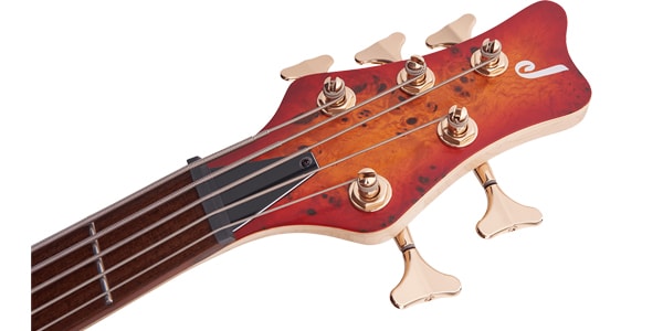 JACKSON ( ジャクソン )  / Pro Series Spectra Bass SBP V Transparent Cherry Burst画像4