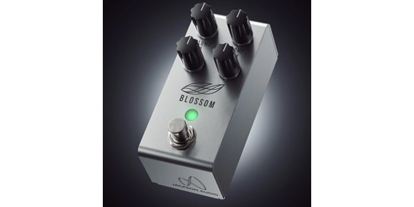 JACKSON. AUDIO/BLOSSOM