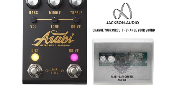 JACKSON. AUDIO ( ジャクソンオーディオ )  / ASABI - LARGE MOUSE MODULE画像4