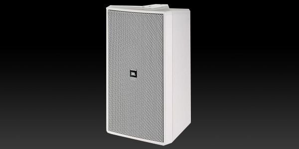 JBL/Control 29AV-1-White フルレンジスピーカー