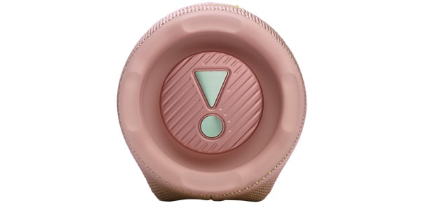 JBL / JBL CHARGE 6 PINK画像9