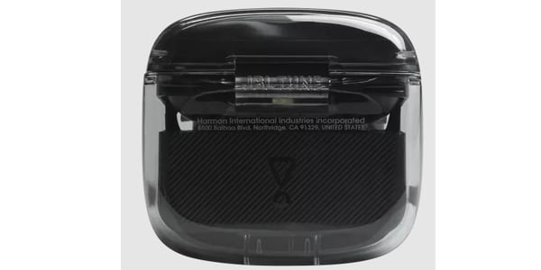 JBL / 	Tune Flex Ghost Edition Black Fully Wireless Earbuds画像6