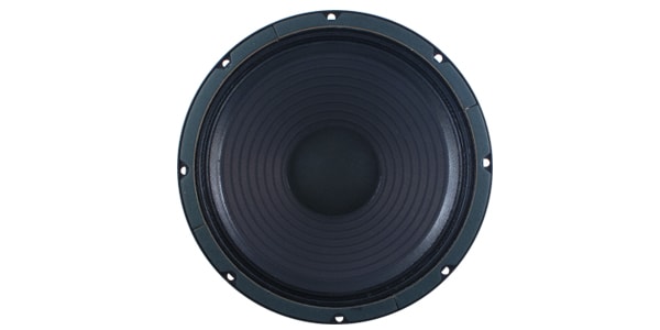 JENSEN / 10" Blackbird 100 8Ω　ギターアンプ用スピーカー画像3