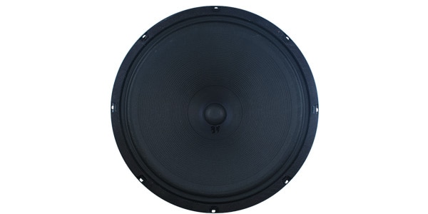 JENSEN / P15N No Bell　4Ω　ギターアンプ用スピーカー画像3