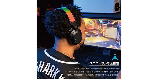 JLAB ( ジェイラブ )  / Nightfall Wired Gaming Headset画像2