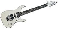 KILLER GUITARS KG-FIDES Custom 22 SW