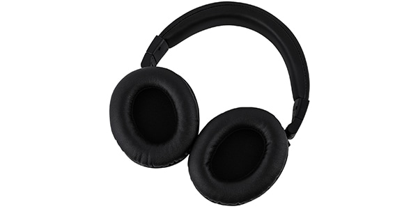 Kiwi Ears / Division Black画像5