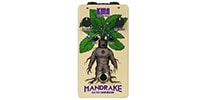 KMA Machines / MANDRAKE