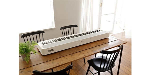 KORG / B2+ WHITE画像3