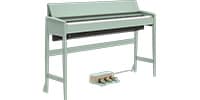 ROLAND / KIYOLA KF-20-KG セラドングリーン