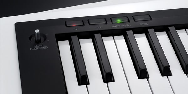 KORG / RK-100S 2WH Keytar画像6
