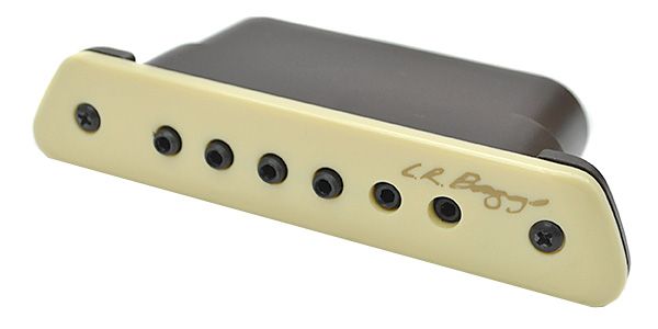 L.R.Baggs ( エルアールバックス ) M1 Passive Soundhole Pickup 送料