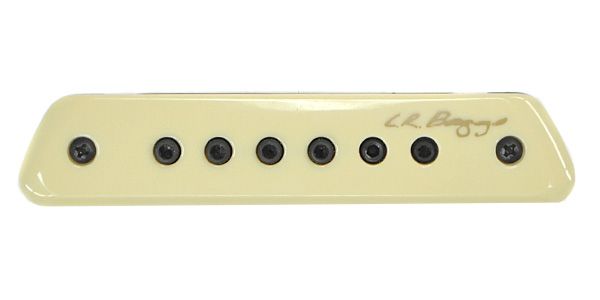 L.R.Baggs M1 Passive