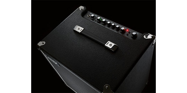 Laney ( レイニー )  / DBF50画像6