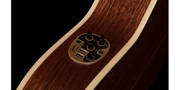 LA PATRIE ( ラ パトリエ )  / Arena Mahogany CW QIT画像3