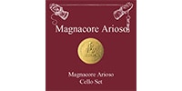 Larsen Strings / Magnacore Arioso チェロ弦 セット 4/4 Medium
