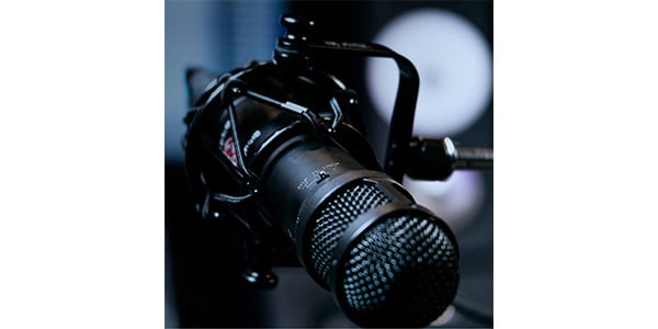 LAUTEN AUDIO / LS-208画像4