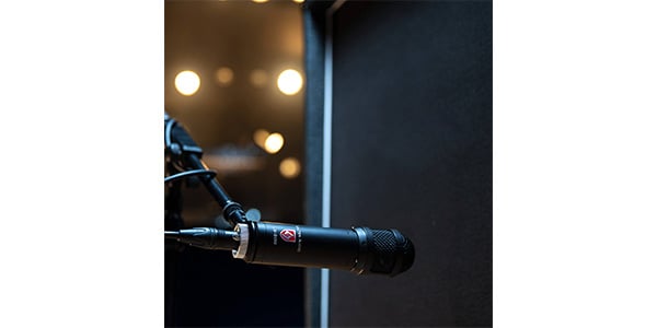 LAUTEN AUDIO / LS-208画像5