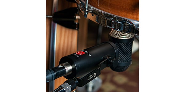 LAUTEN AUDIO / LS-308画像4