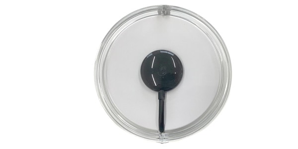 LAVA MUSIC / Ideal Cable Black
