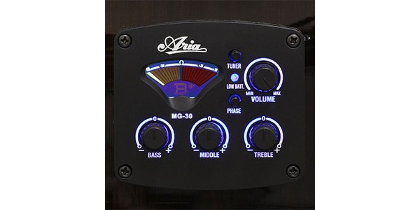 LEGEND / FG-15CE BLS画像3