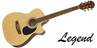LEGEND ( レジェンド ) FG-15CE BLS 送料無料 | サウンドハウス