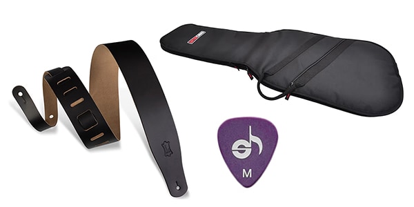 LEVY'S ( レヴィース )  / エレキギター用アクセサリーセット GAS05