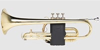 LEVY'S / LVG1-BLK Protector for trumpet - Black