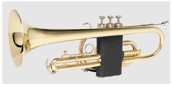 LEVY&#39;S / LVG1-BLK Protector for trumpet - Black画像2