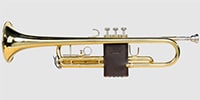 LEVY'S / LVG1-VGNDBR Protector for trumpet - Dark brown