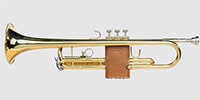 LEVY'S / LVG1-VGNTAN Protector for trumpet Tan