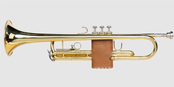 LEVY&#39;S / LVG1-VGNTAN Protector for trumpet Tan