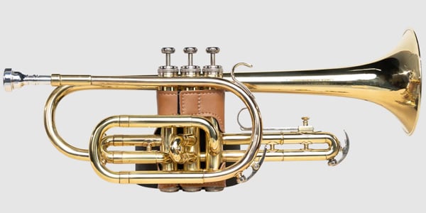 LEVY&#39;S / LVG1-VGNTAN Protector for trumpet Tan画像2