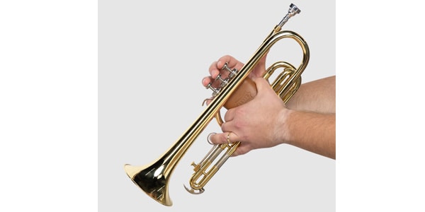 LEVY&#39;S / LVG1-VGNTAN Protector for trumpet Tan画像4