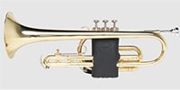 LEVY'S / LVG2-BLK Protector for cornet - Black.