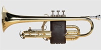 LEVY'S / LVG2-VGNDBR Protector for cornet - Dark brown