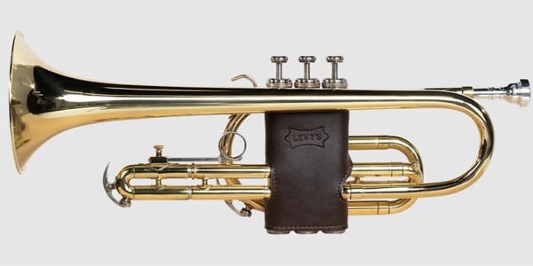 LEVY&#39;S / LVG2-VGNDBR Protector for cornet - Dark brown