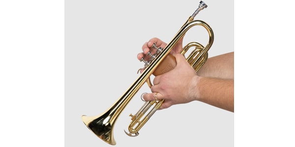 LEVY&#39;S / LVG2-VGNDBR Protector for cornet - Dark brown画像2
